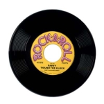 Rock & Roll Plastic Record Decoration 