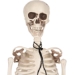 Plastic Skeleton (Pack of 1) - 00495