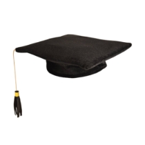 Plush Graduate Cap (Pack of 12) Plush Graduate Cap, graduate, graduation cap, party favor, cap, wholesale, inexpensive, bulk