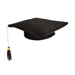Plush Graduate Cap (Pack of 12) Plush Graduate Cap, graduate, graduation cap, party favor, cap, wholesale, inexpensive, bulk