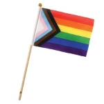 Pride Flags (Pack of 24) pride flags, rainbow flags, polyester pride flag, 4x6 pride flags, wooden stick pride flags, LGBTQ decorations, pride parade supplies, inclusive event décor, Party Express pride flags