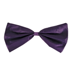 Purple Bow Tie (Pack of 12) purple bow tie, silk bow tie, elastic bow tie, one size fits most bow tie, costume accessories, party bow ties, purple party accessories, Party Express bow ties, pack of 12 bow ties