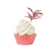 Rose Gold Metallic Cupcake Liners & Picks