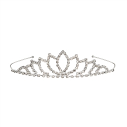 Silver tiara with shimmering rhinestones.