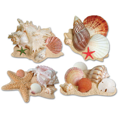 Seashell Cutouts Pack of 12