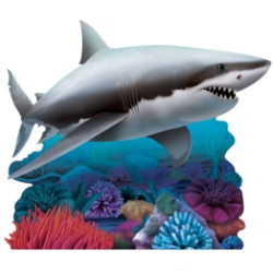 Shark Stand-Up
