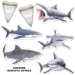 Shark Streamer Set (Pack of 12) - 53807