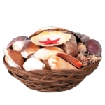 Brown wicker basket with seashells from the ocean.