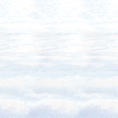Snowscape Backdrop (Pack of 6) Snowscape Backdrop, snow, snowscape, winter wonderland, christmas, photo op, backdrop, wholesale, inexpensive, bulk