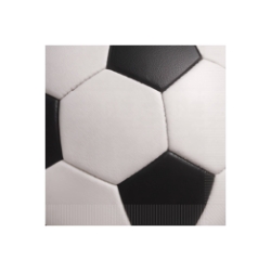 Soccer Beverage Napkins (Pack of 192) soccer beverage napkins, soccer party napkins, sports napkins, 2 ply napkins, quarter fold napkins, soccer tableware, printed soccer napkins, Party Express soccer supplies
