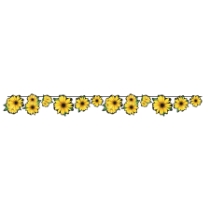 Sunflower Streamer