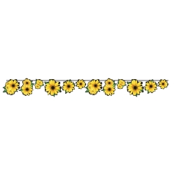 Sunflower Streamer