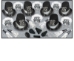 Tuxedo-Nite New Year Assortment for 10 - 88352-NR