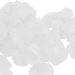 White Fabric Rose Petals