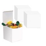 White Favor Boxes
