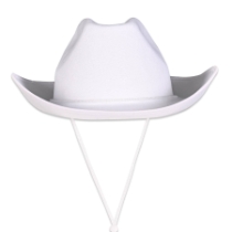 White Felt Cowboy Hat