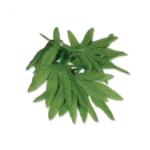 Green leafed anklet or bracelet.