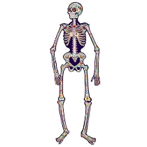 Jointed Day Of The Dead Skeleton (Pack of 12) Jointed Day Of The Dead Skeleton, day of the dead, skeleton, decoration, Halloween, wholesale, inexpensive, bulk