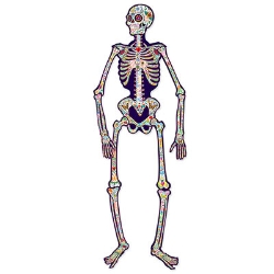 Jointed Day Of The Dead Skeleton (Pack of 12) Jointed Day Of The Dead Skeleton, day of the dead, skeleton, decoration, Halloween, wholesale, inexpensive, bulk