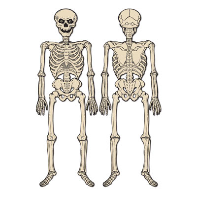 Vintage Halloween Jointed Skeleton (Pack of 12) Vintage, Halloween, Jointed, Skeleton, evil, scary, spooky