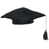 Plush Graduate Cap (Pack of 12) Plush Graduate Cap, graduate, graduation cap, party favor, cap, wholesale, inexpensive, bulk