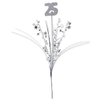 Silver Glittered 25 Metallic Star Spray