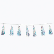 Iridescent Tassel Garland Hanging Decoration