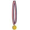 Patriotic striped ribbon with basketball medal made of plastic.