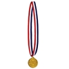 Patriotic striped ribbon with winner medal made of plastic.