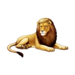 Jointed Lion (Pack of 12) Jointed Lion, lion, decoration, jungle, wholesale, inexpensive, bulk