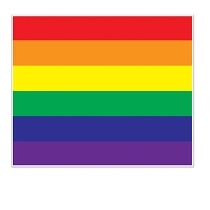 Rainbow Insta-Mural Photo Op with stripes of printed rainbow colors.