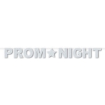 Streamer with wording of "Prom Night" in silver glitter.