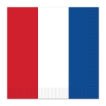 Luncheon napkins with a stripe of red, white and blue.