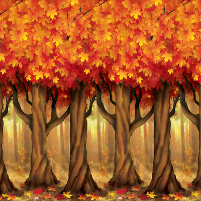 Fall Trees Backdrop for a fun picture on Thanksgiving