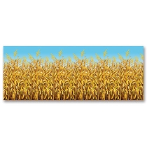 Cornstalks Backdrop fun photo prop for Thanksgiving